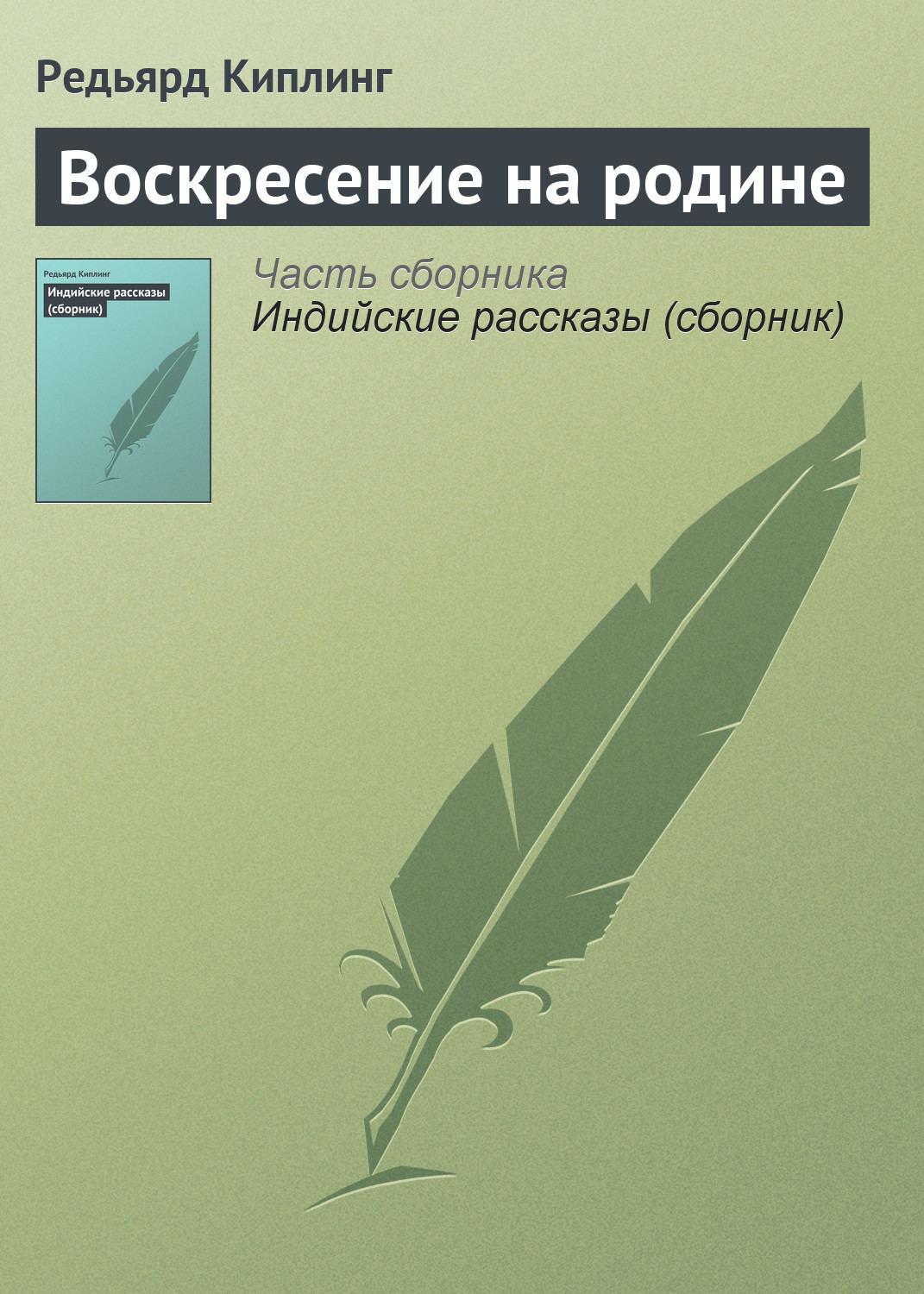 Обложка книги «Воскресение на родине»