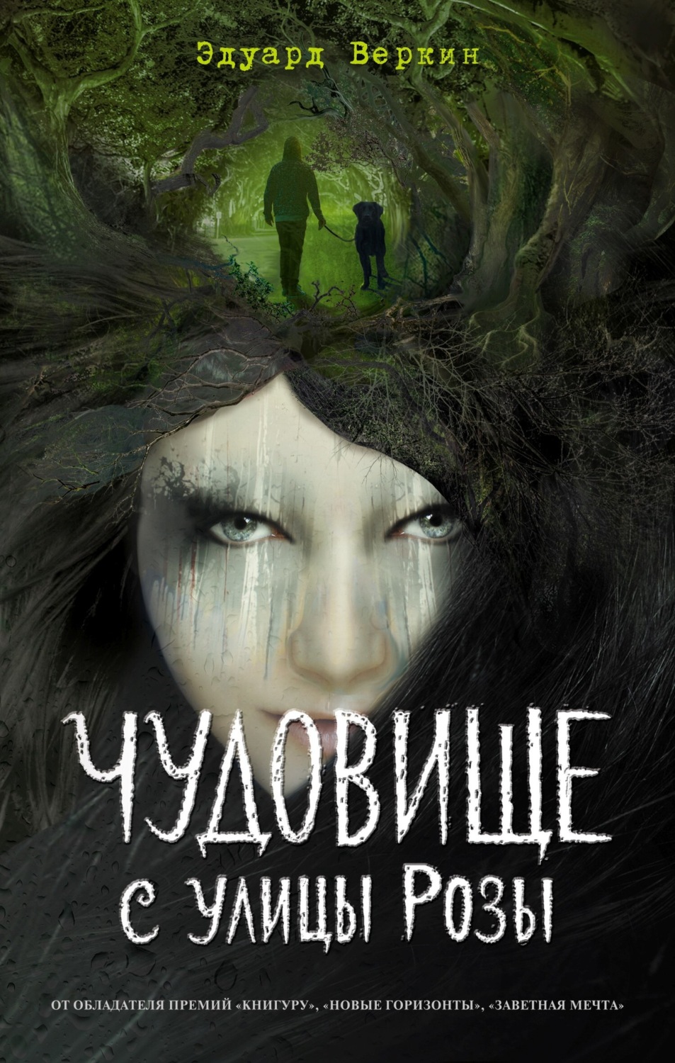 Обложка книги «Чудовище с улицы Розы»