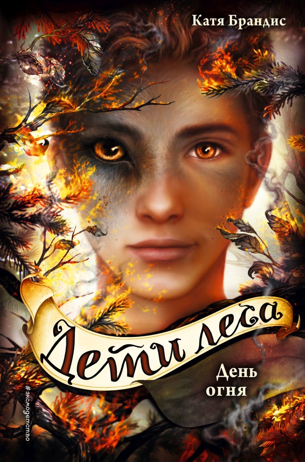 Обложка книги «День огня»