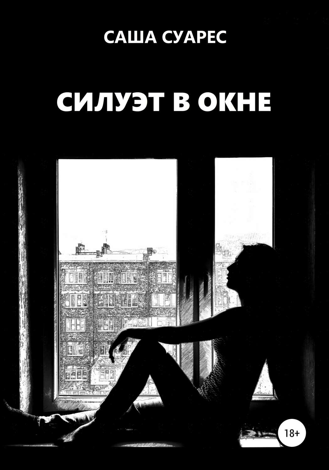 Обложка книги «Силуэт в окне»
