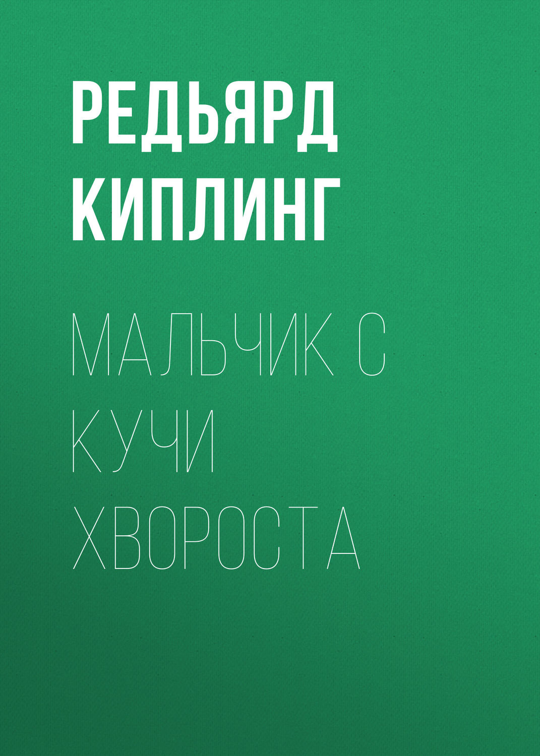 Обложка книги «Мальчик с кучи хвороста»