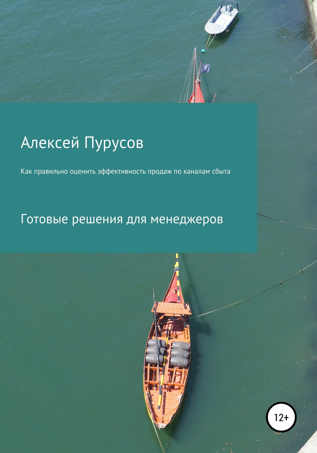Обложка книги «Как правильно оценить эффективность продаж по каналам сбыта. Готовые решения для менеджеров»