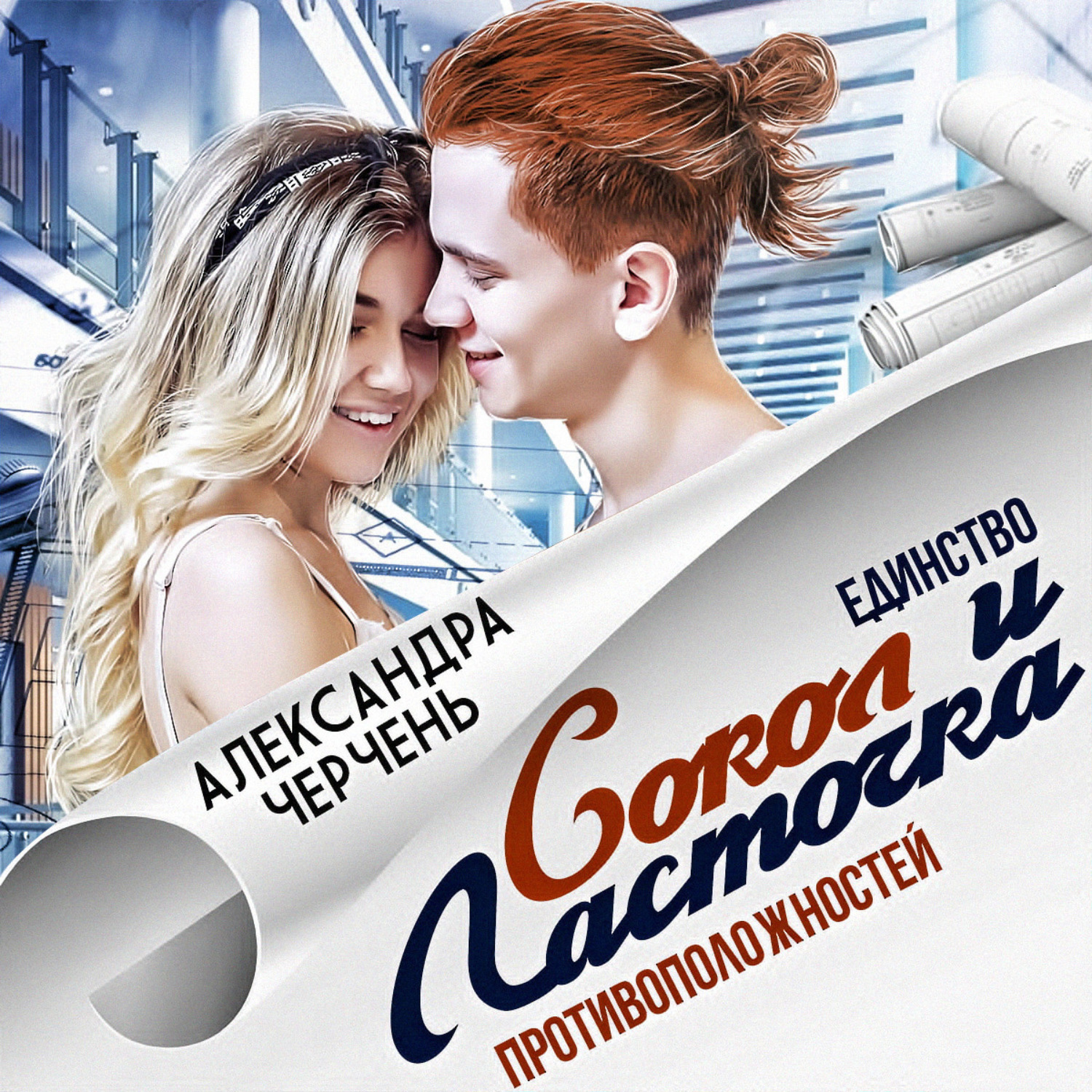 Обложка книги «Сокол и Ласточка»