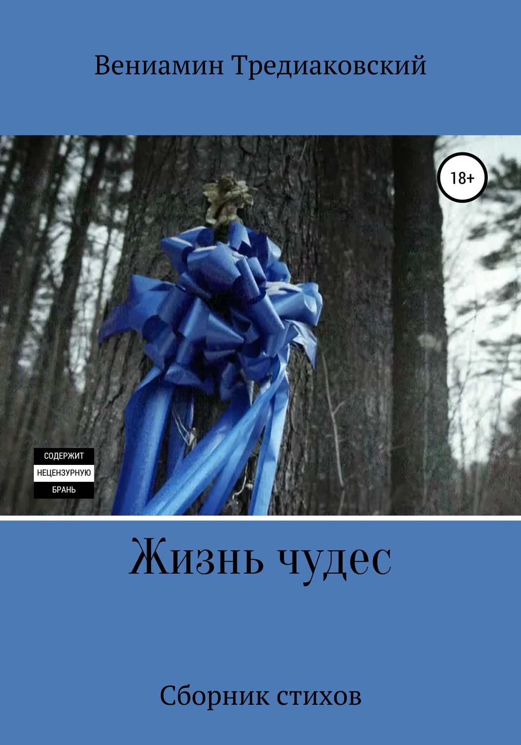 Обложка книги «Жизнь чудес»