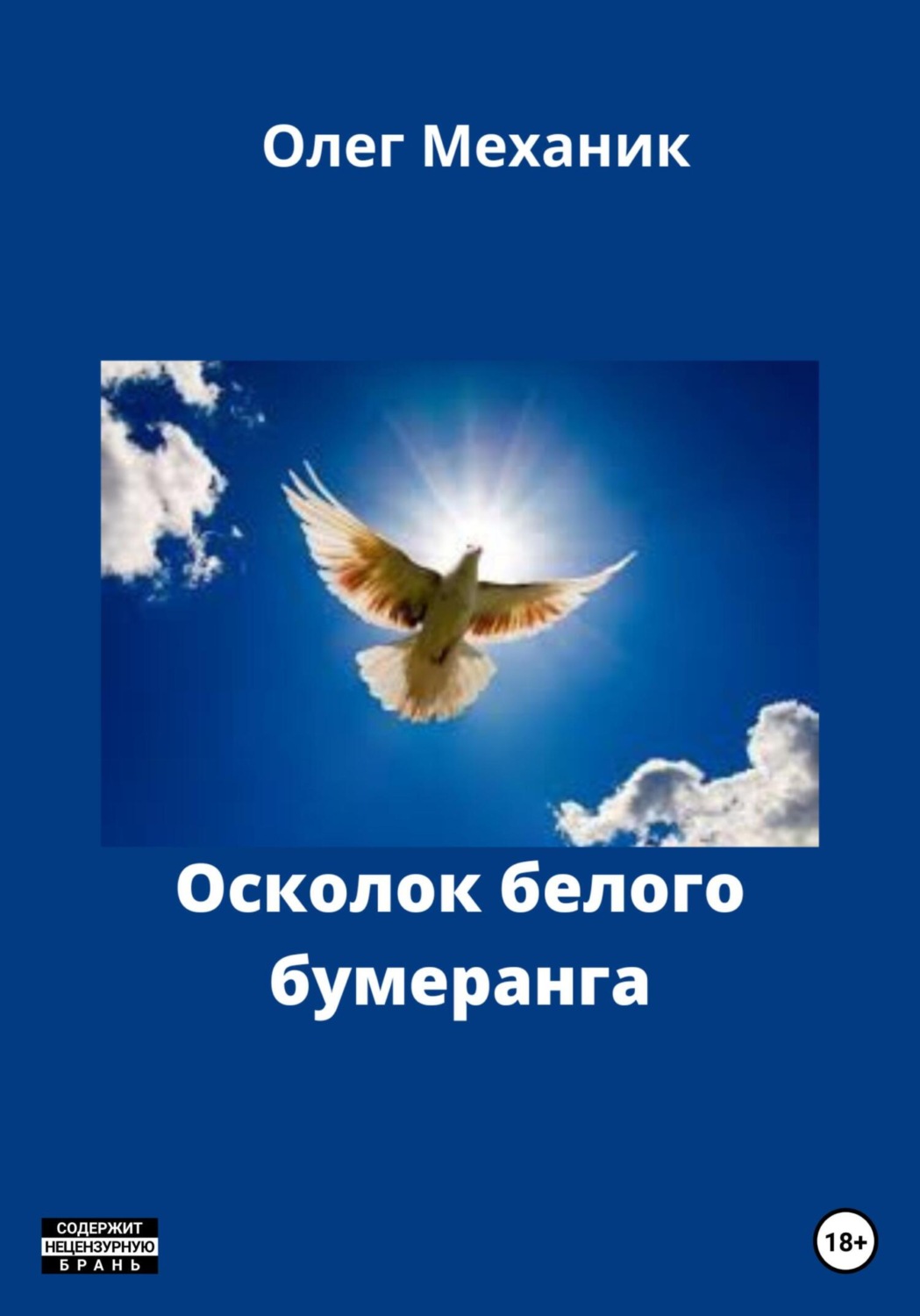 Обложка книги «Осколок белого бумеранга»