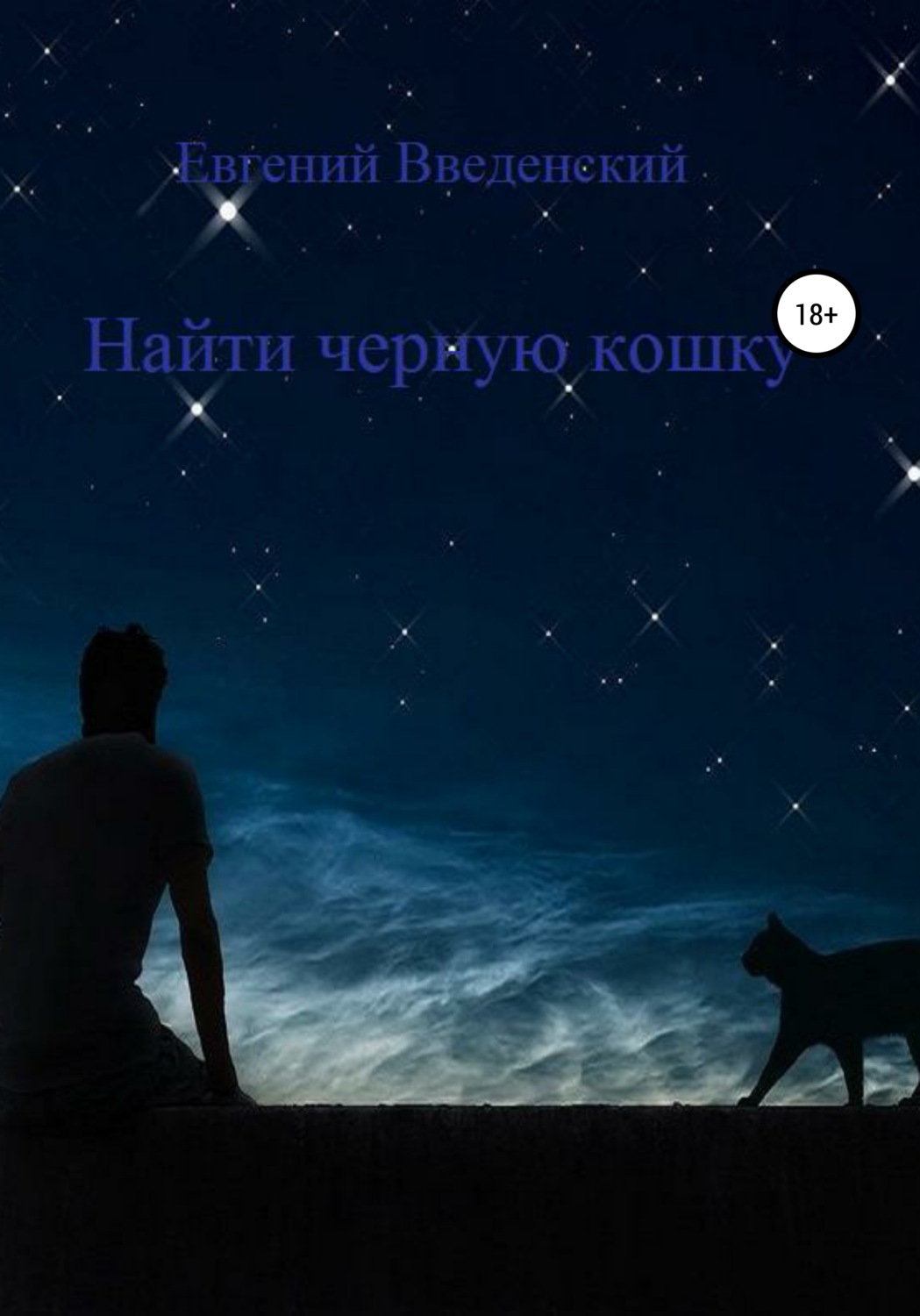 Обложка книги «Найти чёрную кошку»