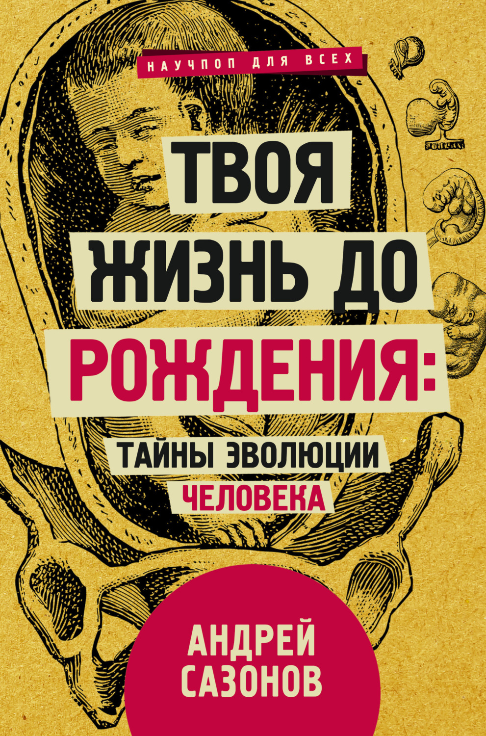 Обложка книги «Твоя жизнь до рождения: тайны эволюции человека»