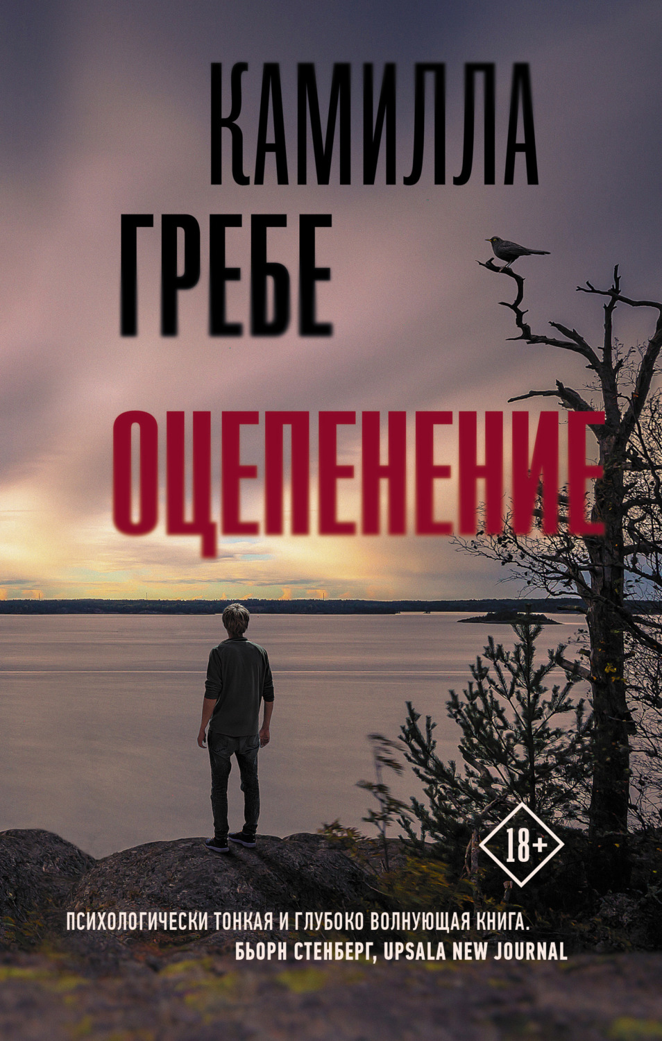 Обложка книги «Оцепенение»
