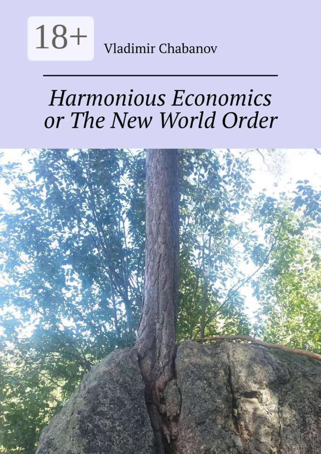 Обложка книги «Harmonious Economics or The New World Order. 2nd edition by supplemented»
