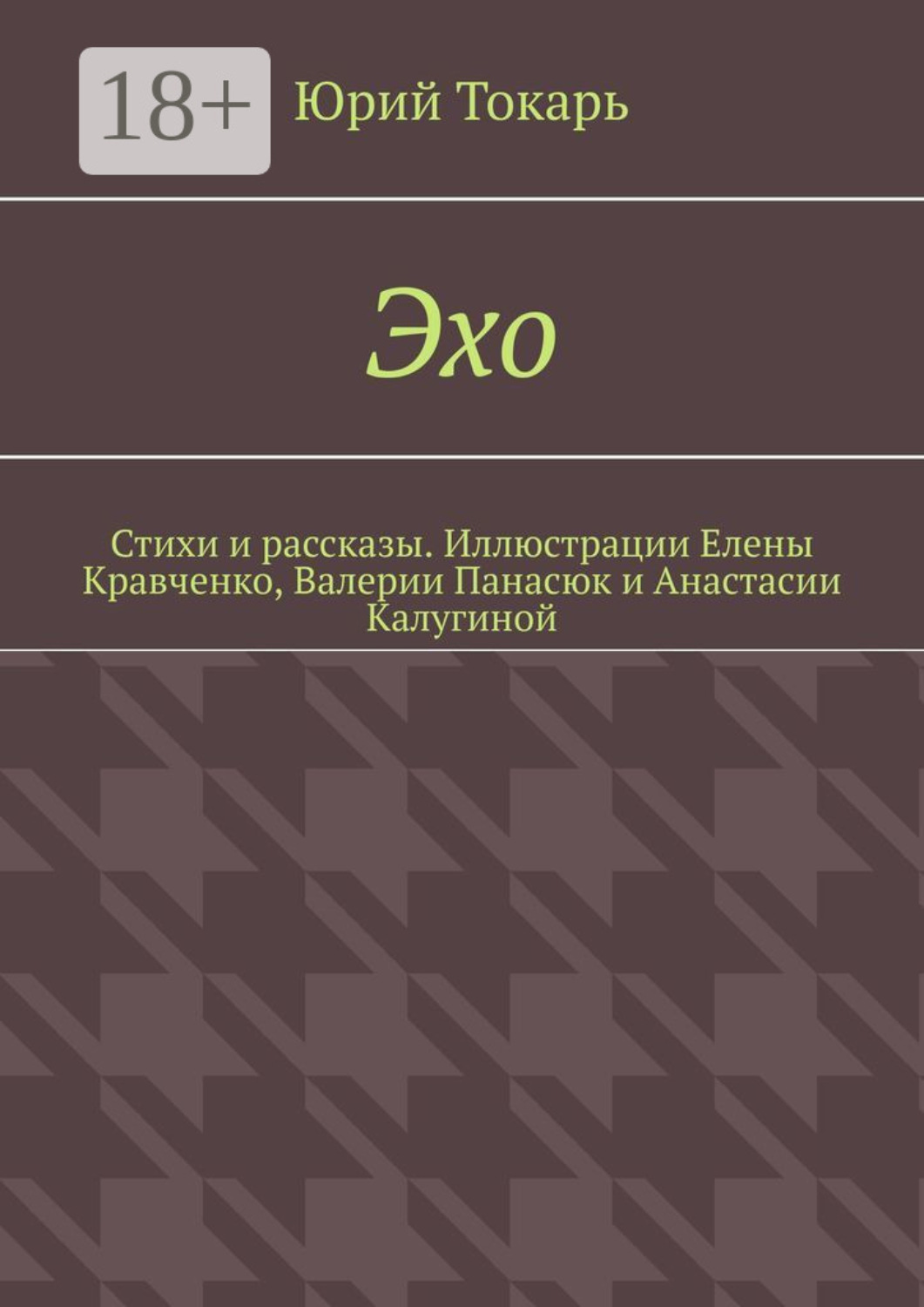 Обложка книги «Эхо. Стихи и рассказы. Иллюстрации Елены Кравченко, Валерии Панасюк и Анастасии Калугиной»