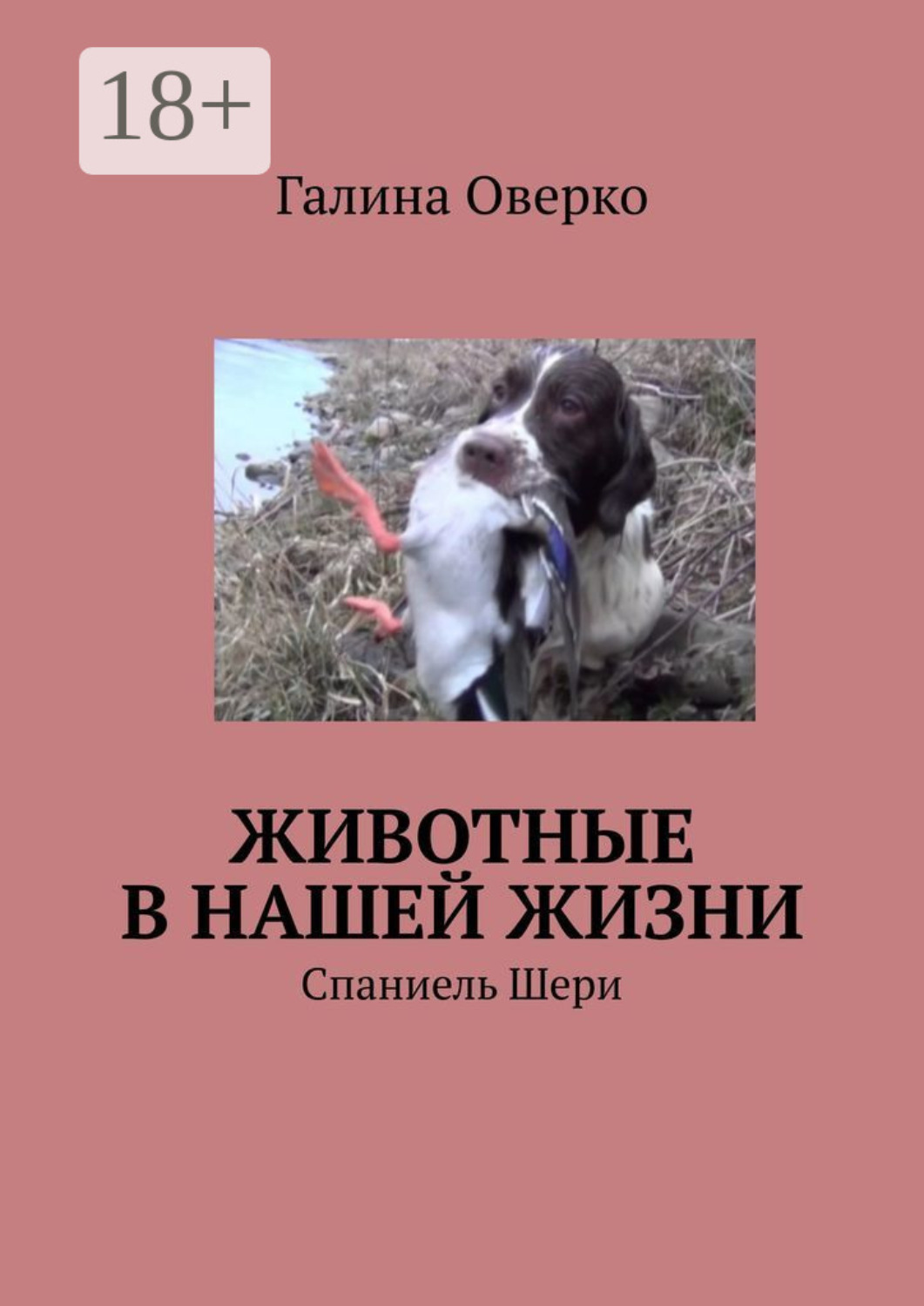 Обложка книги «Животные в нашей жизни. Спаниель Шери»