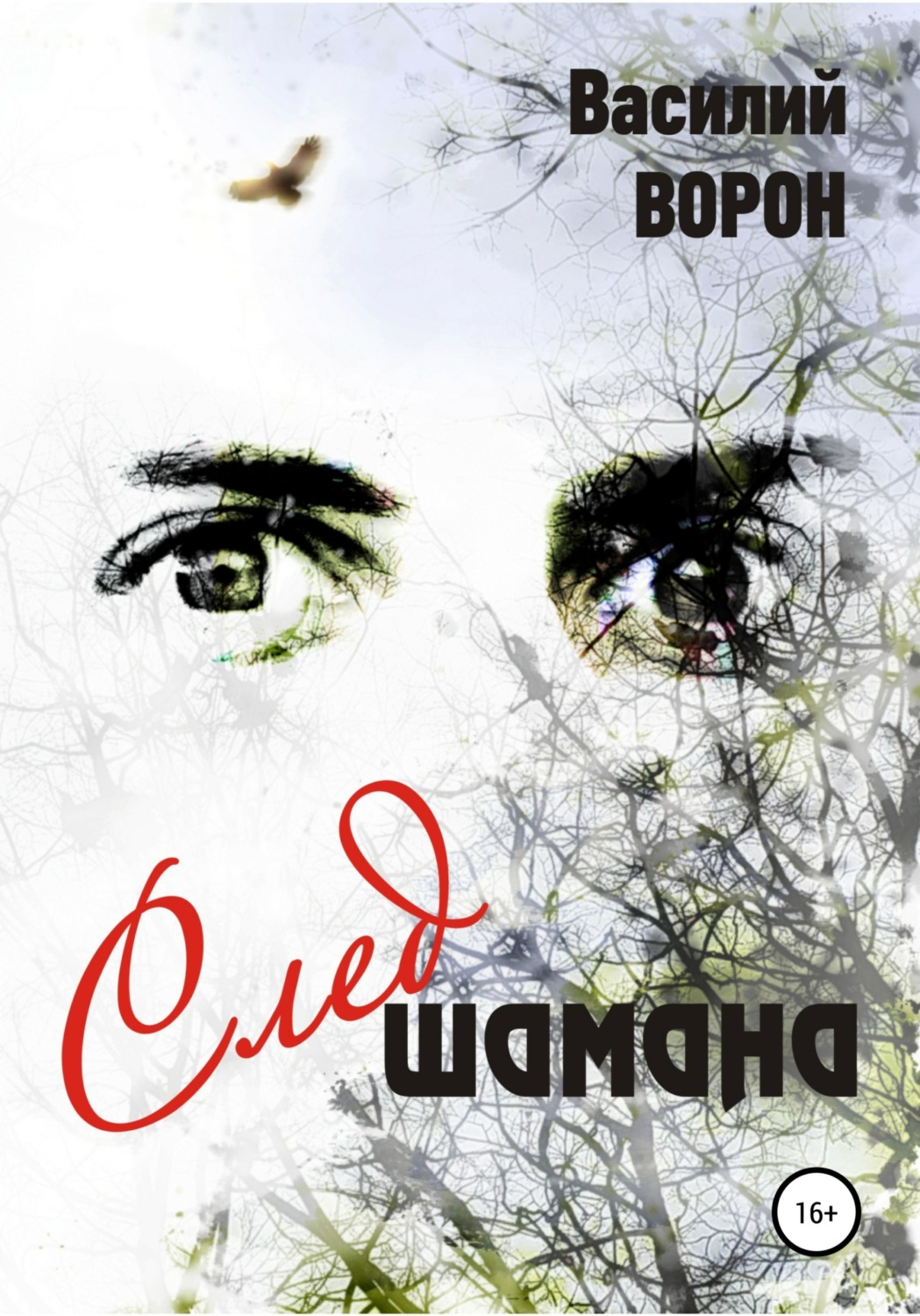 Обложка книги «След шамана»
