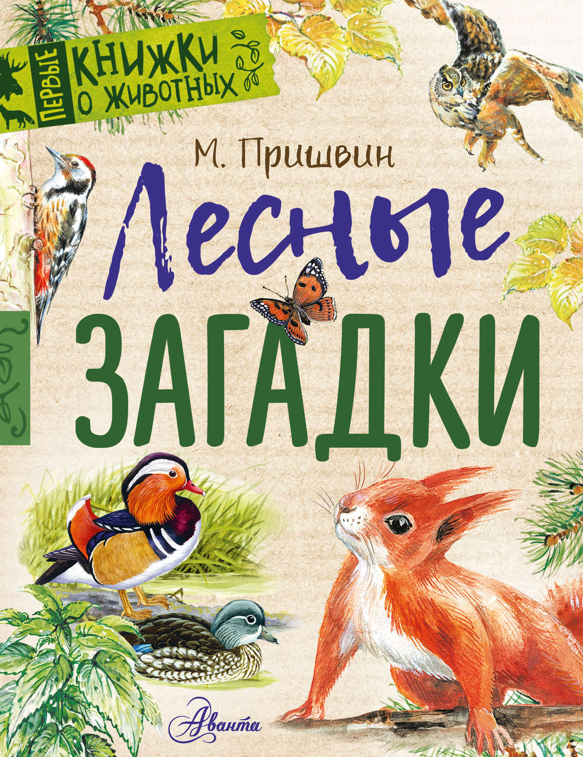 Обложка книги «Лесные загадки»