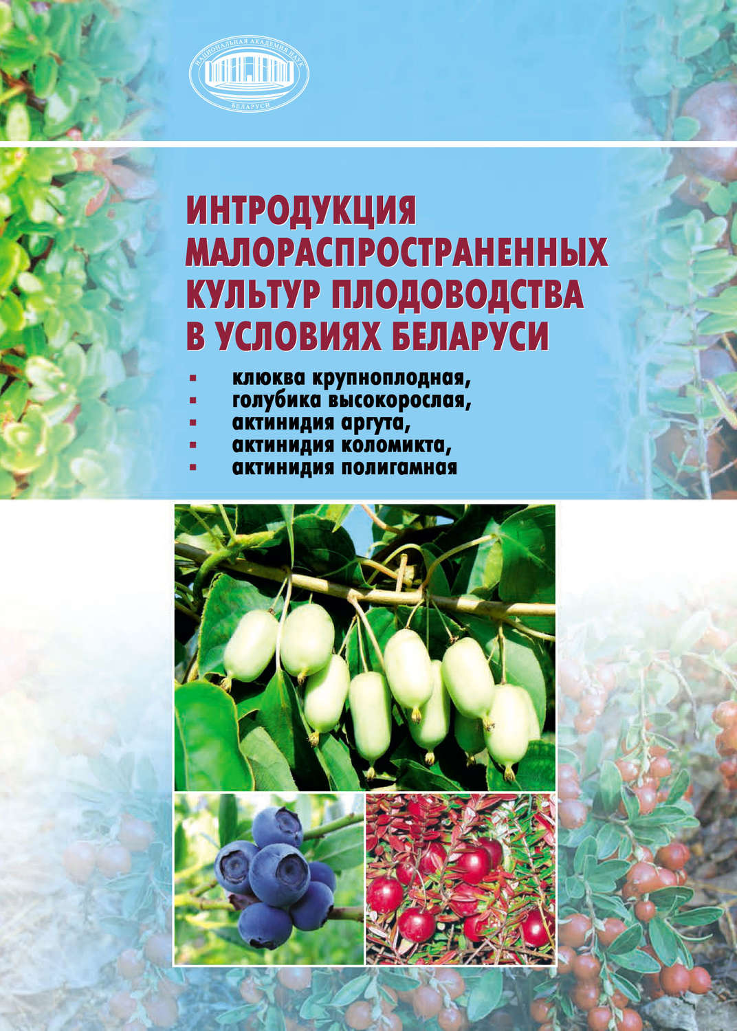 Обложка книги «Интродукция малораспространенных культур плодоводства в условиях Беларуси (клюква крупноплодная, голубика высокорослая, актинидия аргута, актинидия коломикта, актинидия полигамная)»