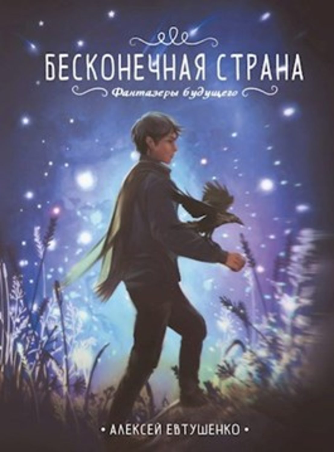 Обложка книги «Бесконечная страна»