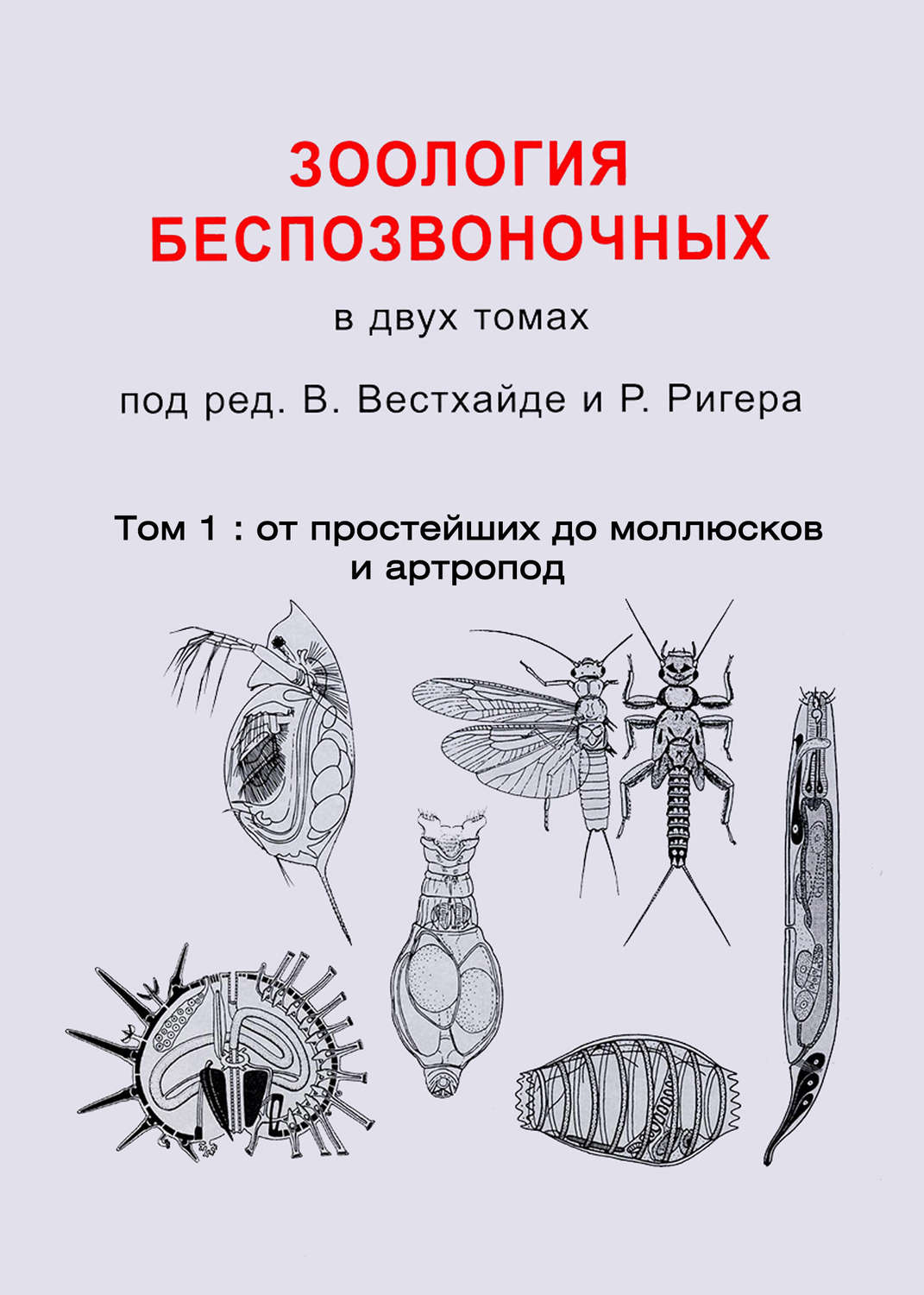 Обложка книги «Зоология беспозвоночных. Том 1. От простейших до моллюсков и артропод»