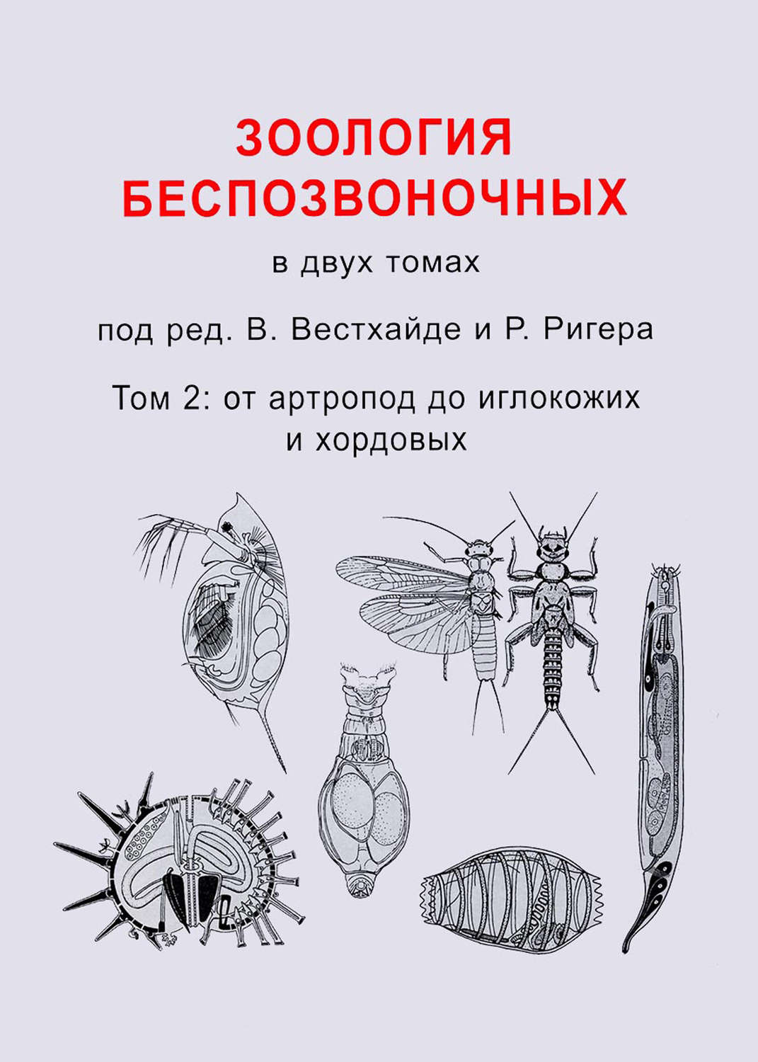 Обложка книги «Зоология беспозвоночных. Том 2. От артропод до иглокожих и хордовых»