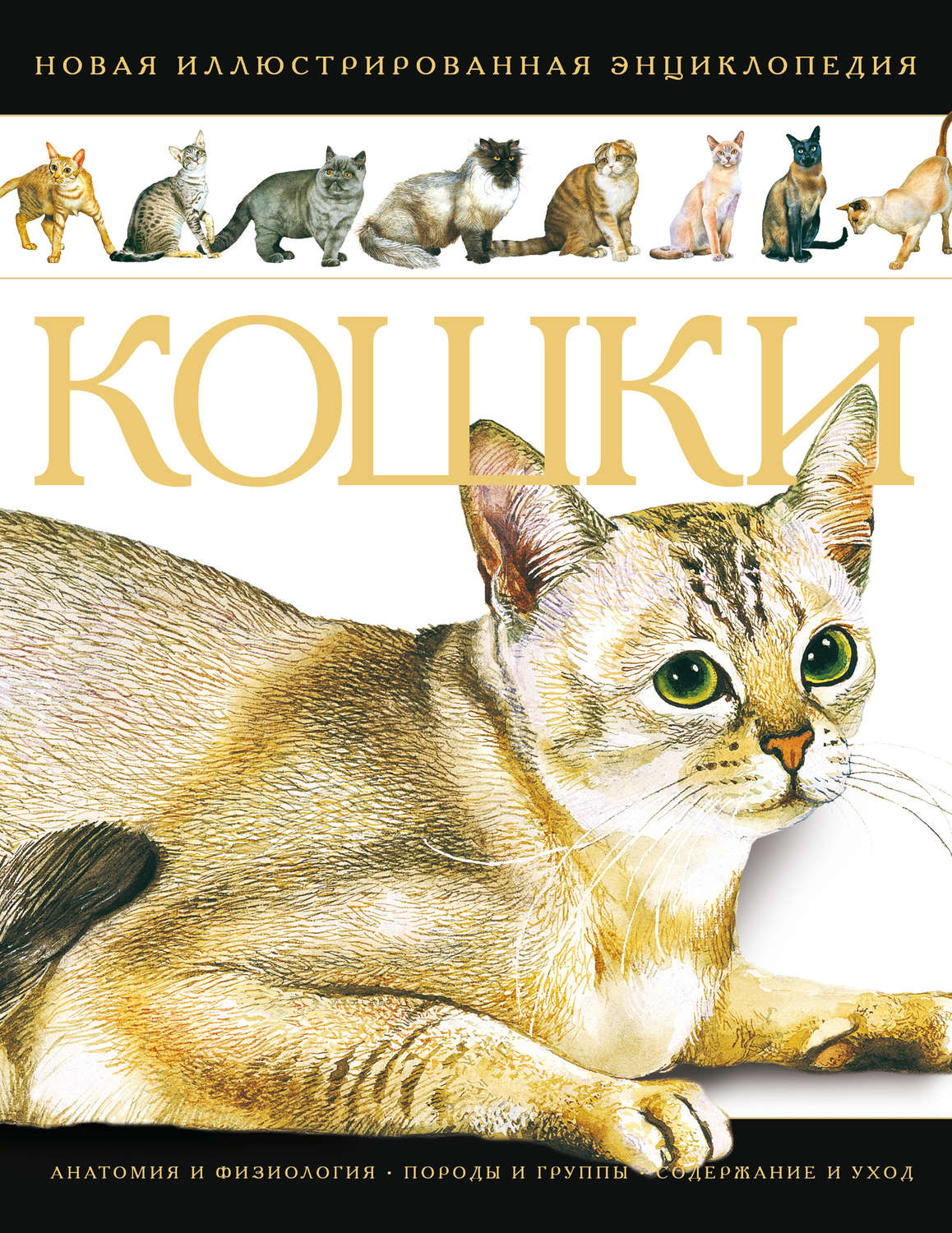 Обложка книги «Кошки. Новая иллюстрированная энциклопедия»