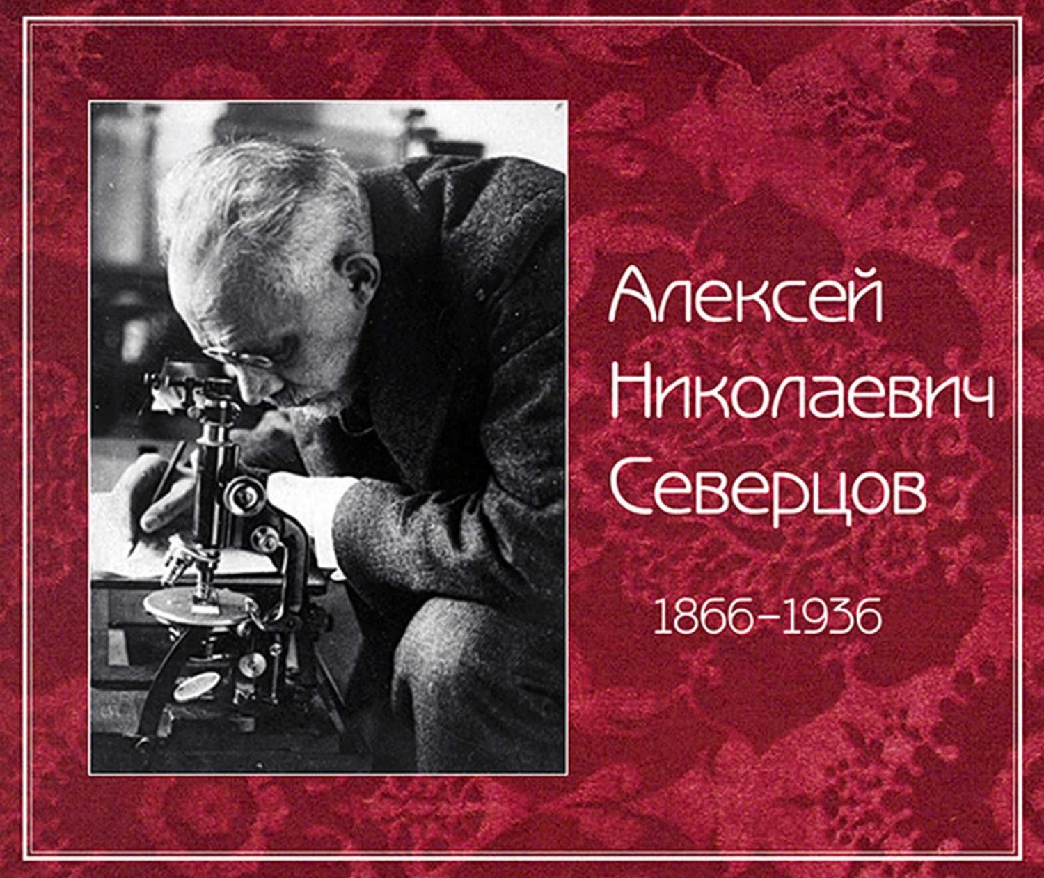 Обложка книги «Алексей Николаевич Северцов»