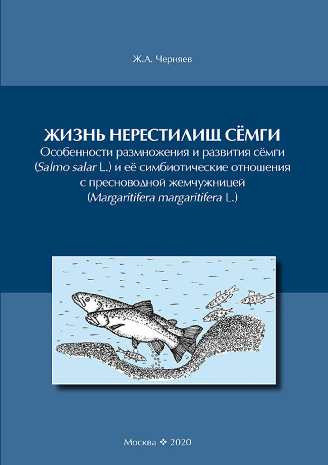 Обложка книги «Жизнь нерестилищ сёмги»