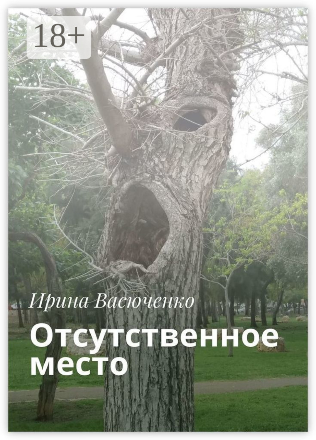 Обложка книги «Отсутственное место»