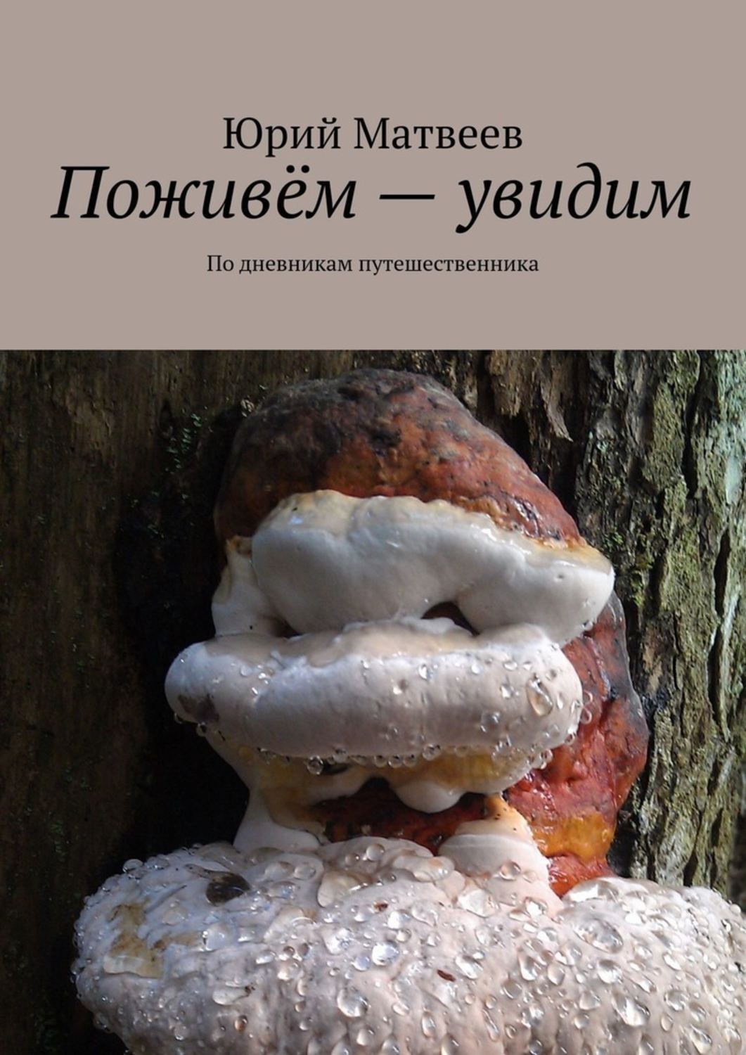 Обложка книги «Поживём – увидим. По дневникам путешественника»