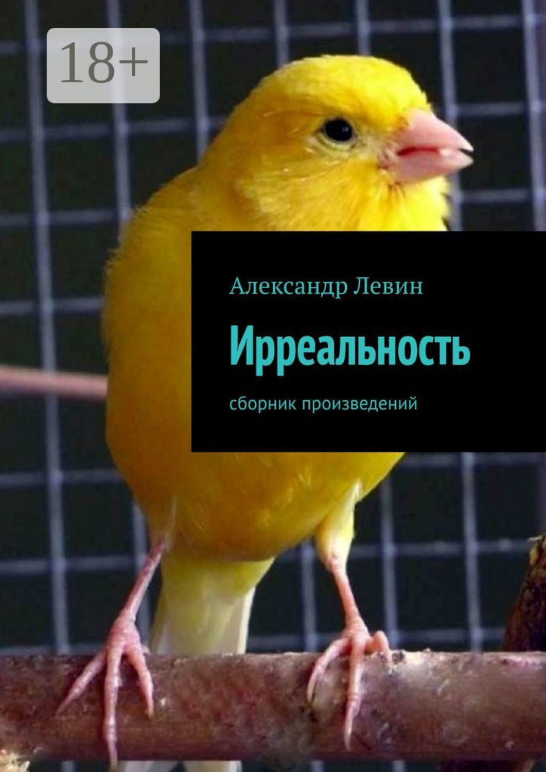 Обложка книги «Ирреальность. Сборник произведений»
