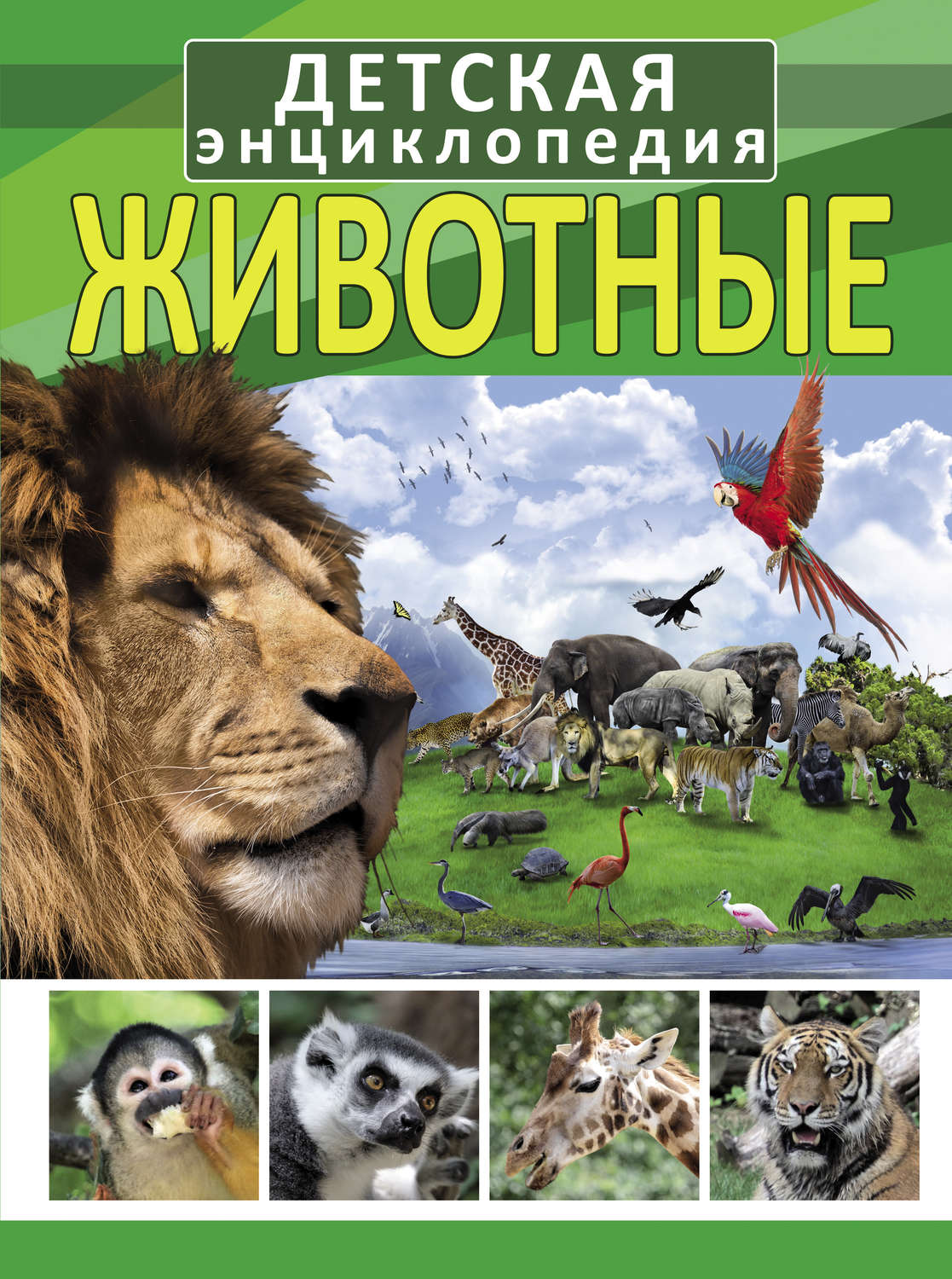 Обложка книги «Животные»
