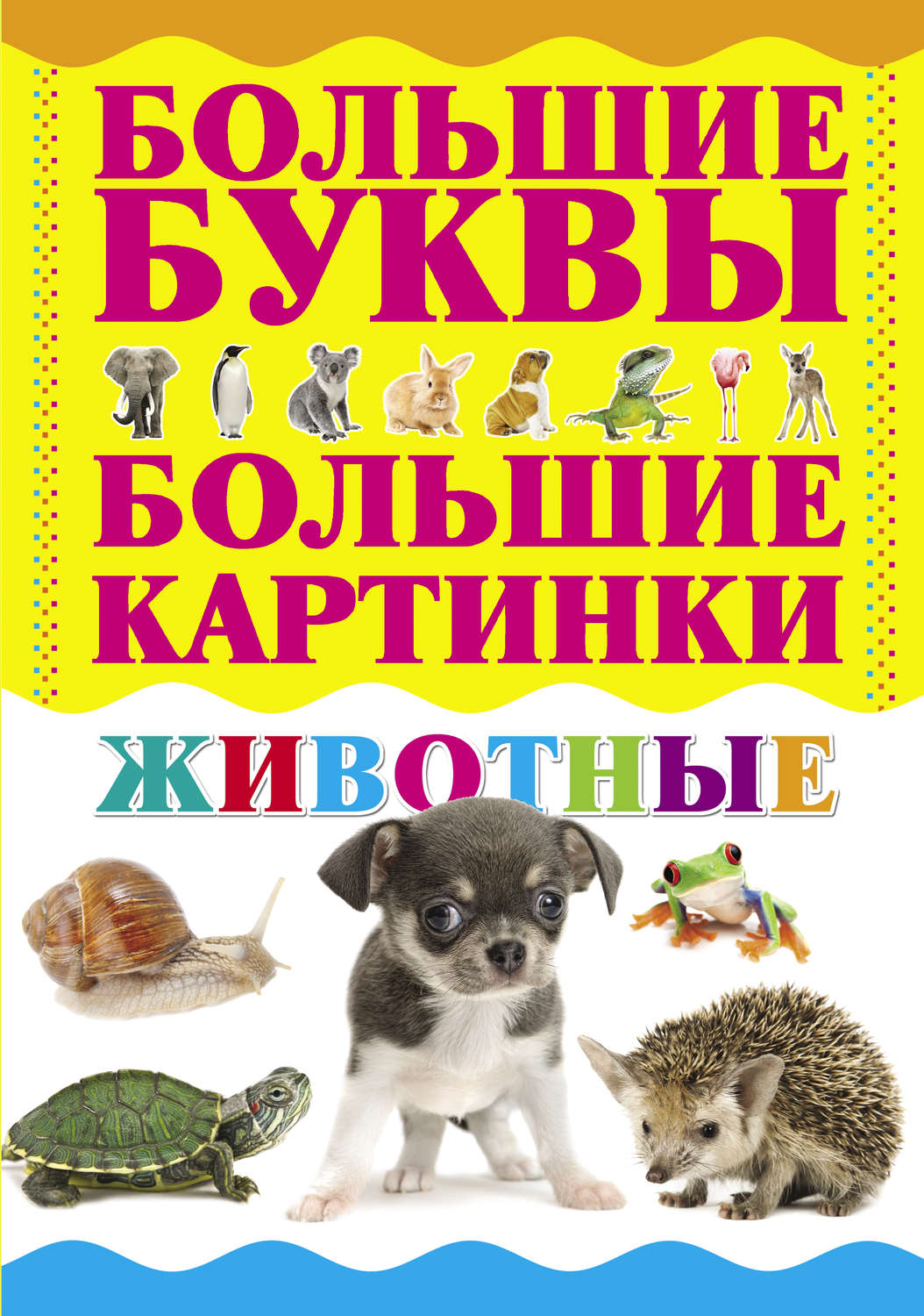 Обложка книги «Животные»