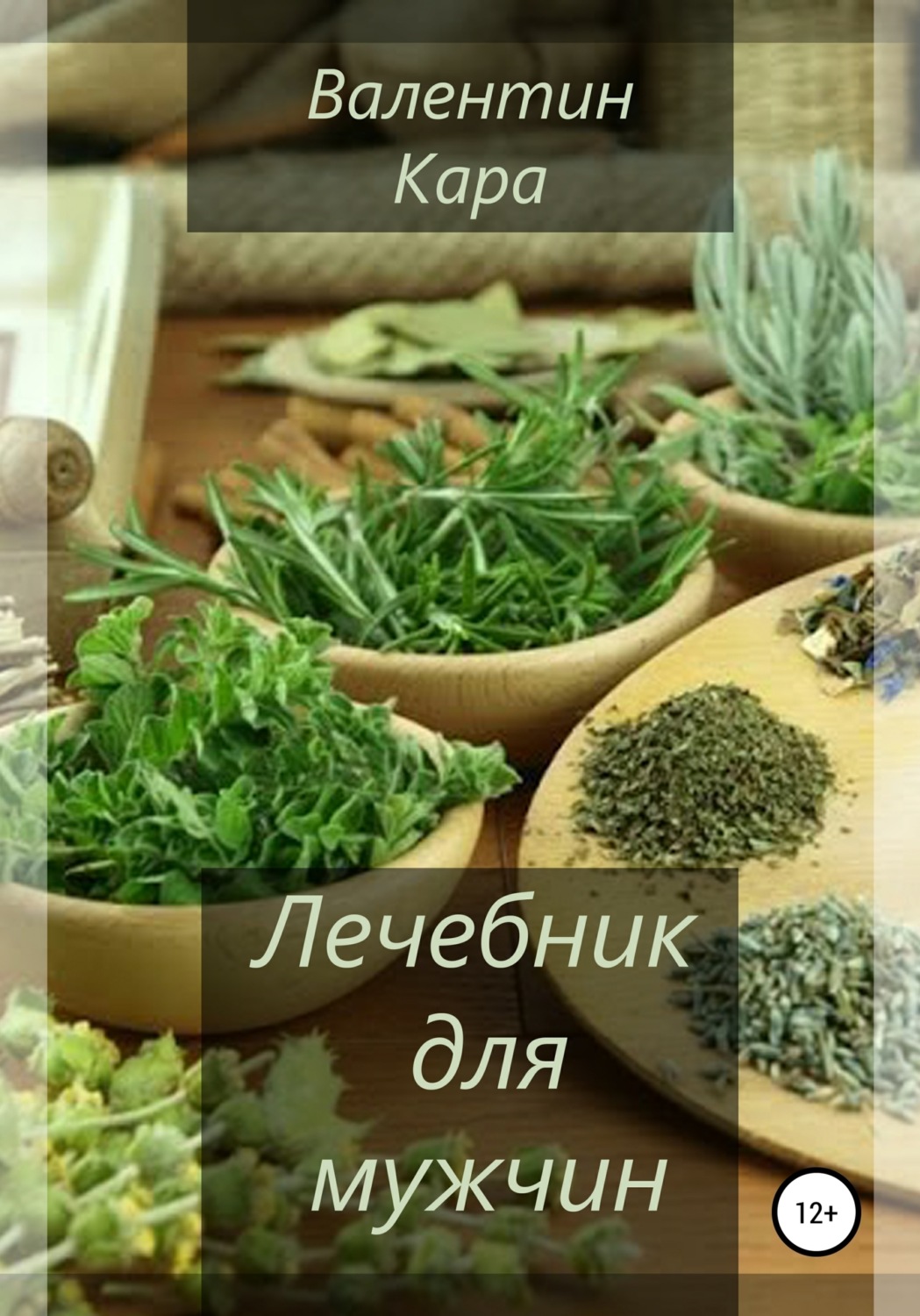 Обложка книги «Лечебник для мужчин»