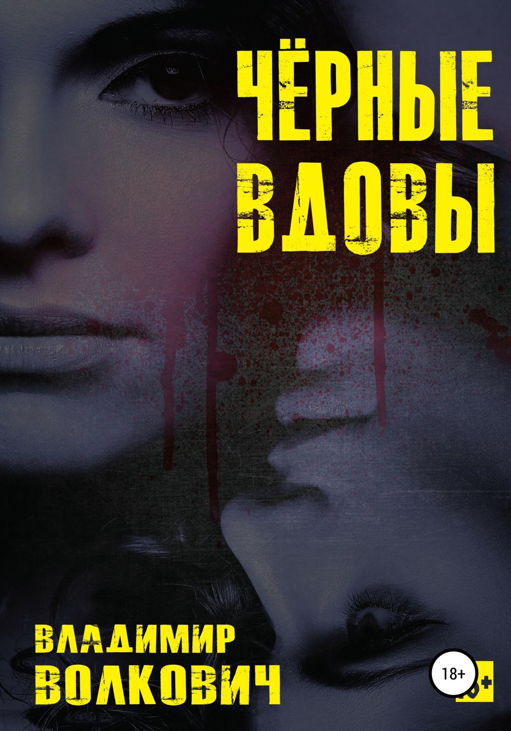 Обложка книги «Чёрные вдовы»