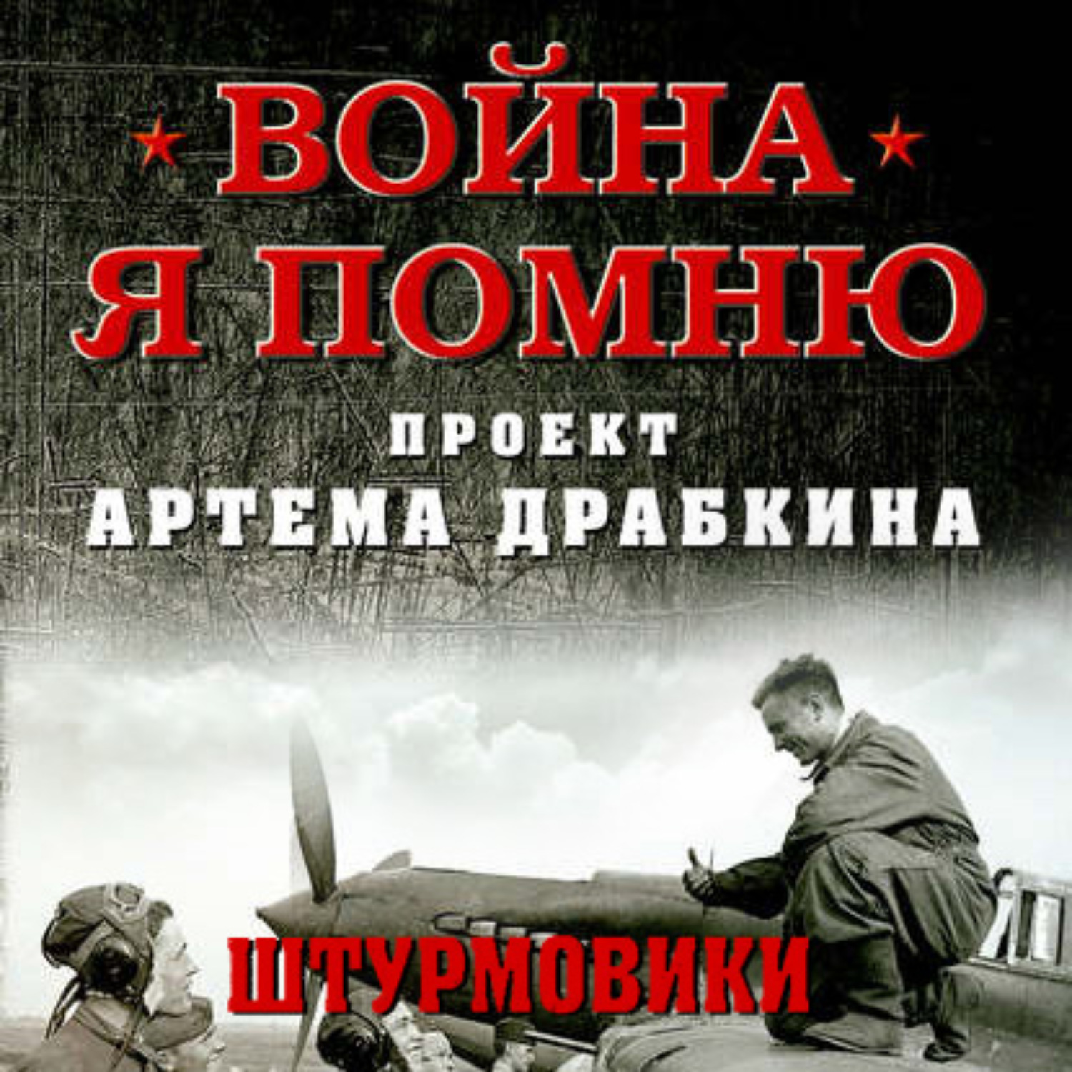 Обложка книги «Штурмовики»