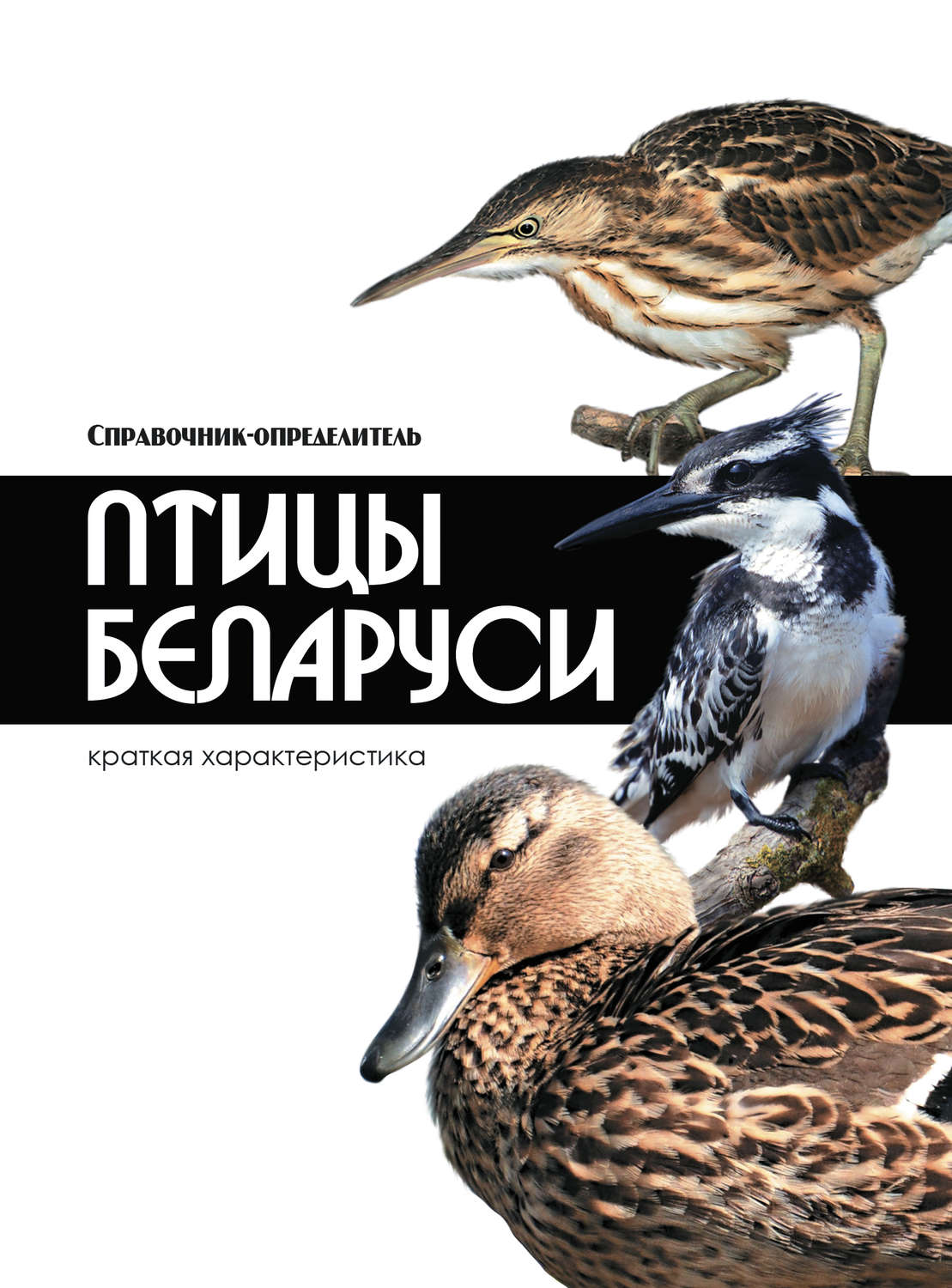 Обложка книги «Птицы Беларуси»
