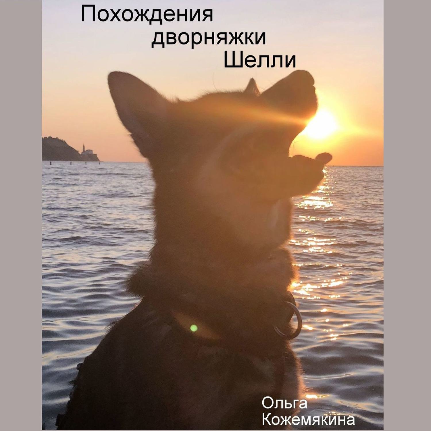 Обложка книги «Похождения дворняжки Шелли»