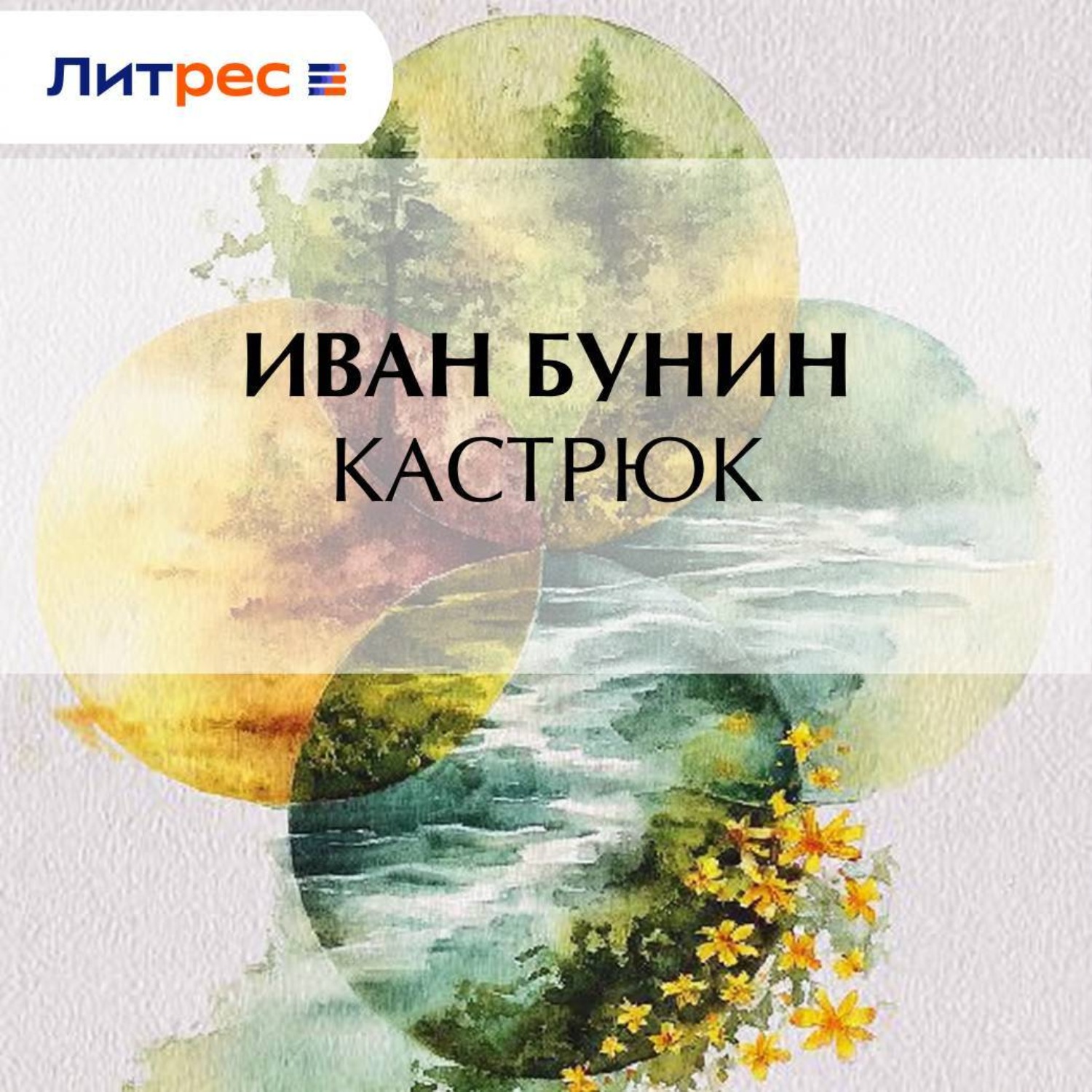 Обложка книги «Кастрюк»