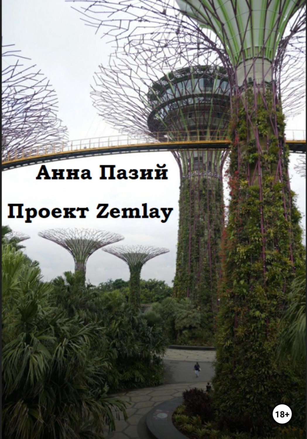Обложка книги «Проект Zemlay»