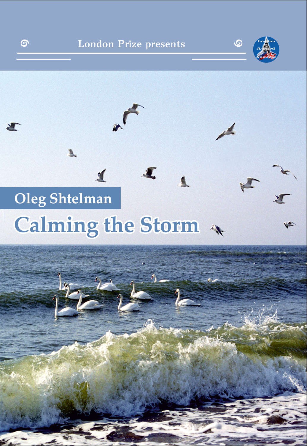 Обложка книги «Calming the Storm»