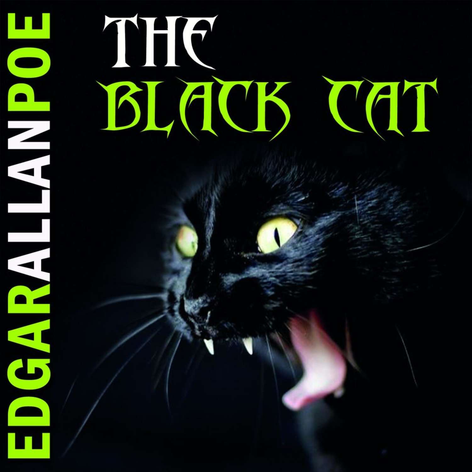 Обложка книги «The Black Cat»