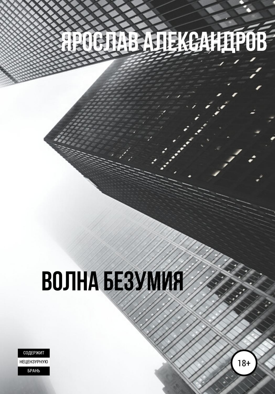 Обложка книги «Волна безумия»
