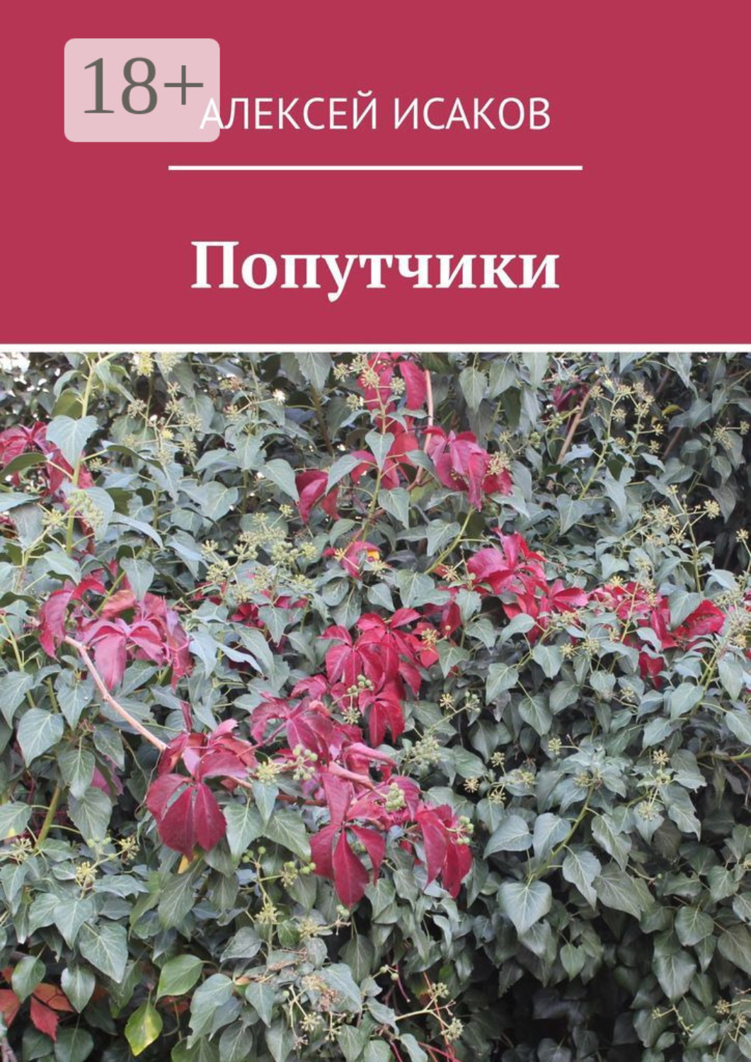Обложка книги «Попутчики»