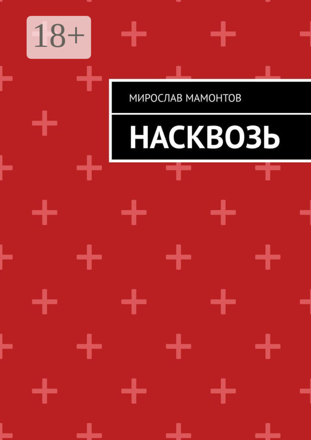 Обложка книги «Насквозь»