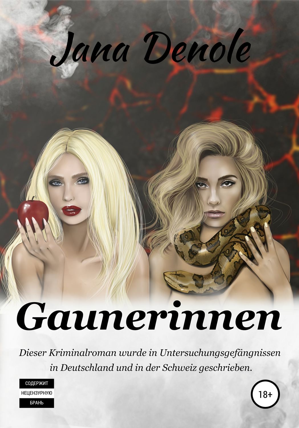 Обложка книги «Gaunerinnen»