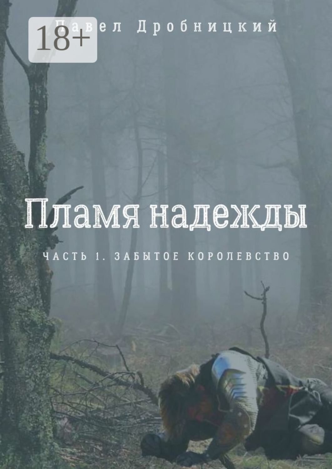 Обложка книги «Пламя надежды. Часть 1. Забытое королевство»