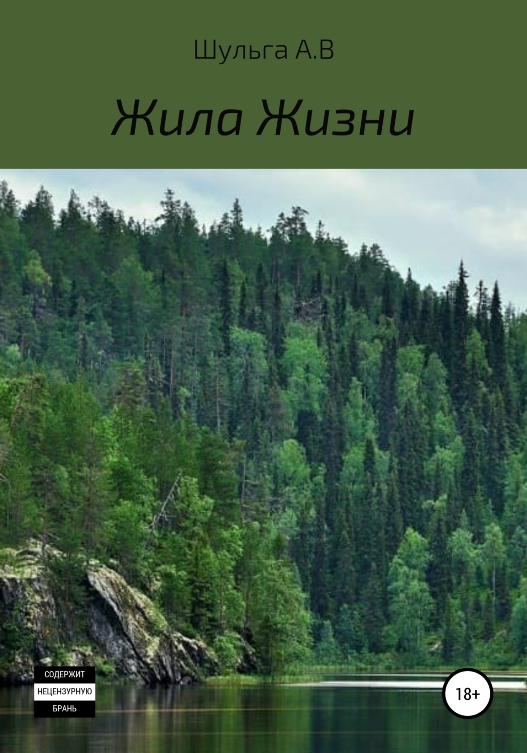 Обложка книги «Жила Жизни»