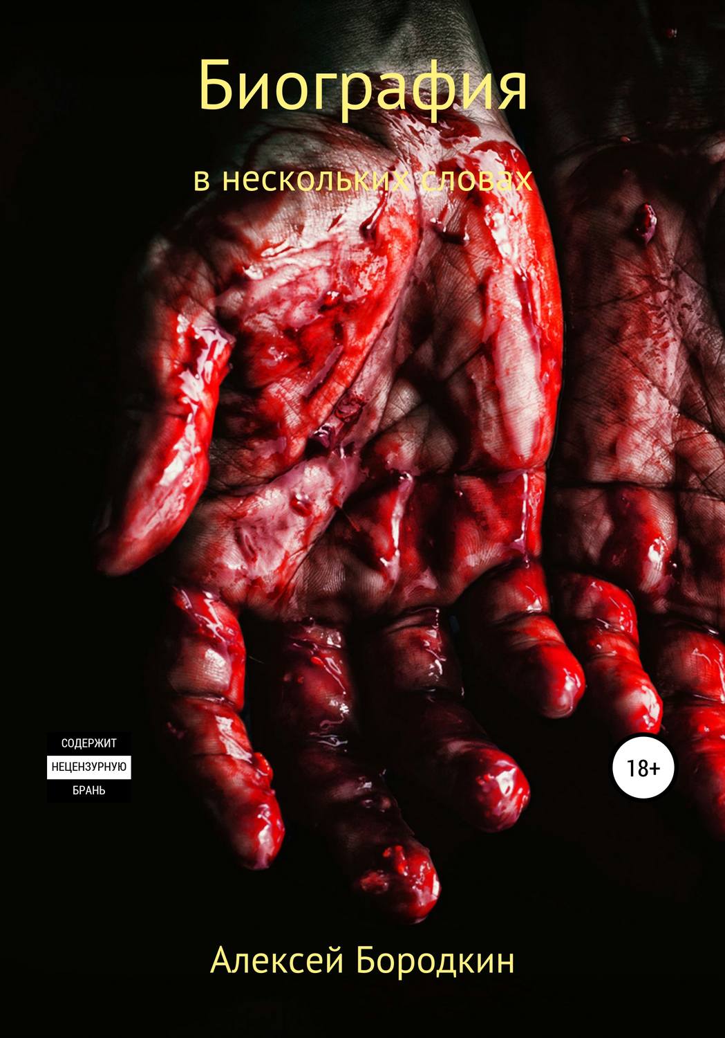 Обложка книги «Биография в нескольких словах»