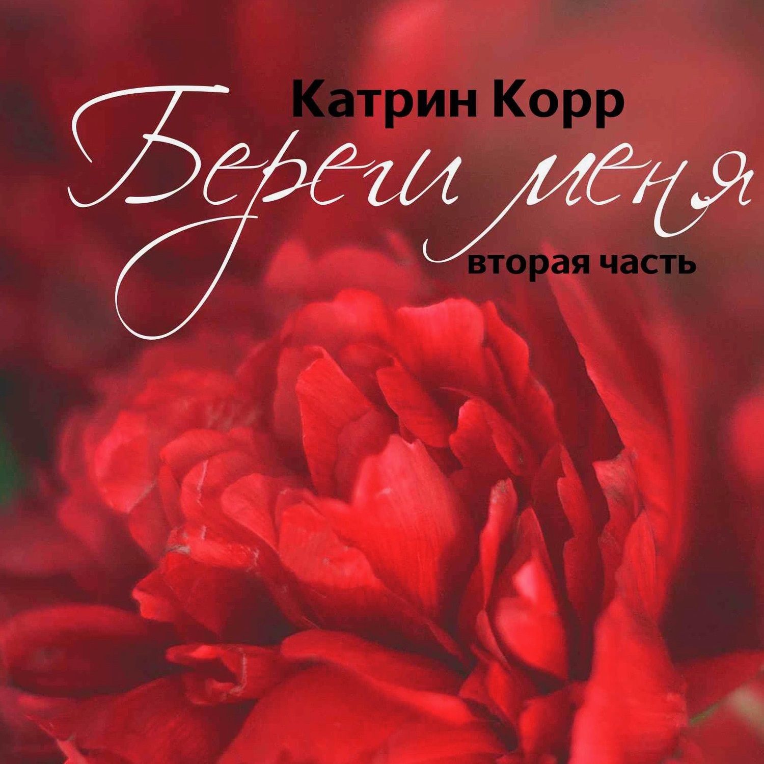 Обложка книги «Береги меня»