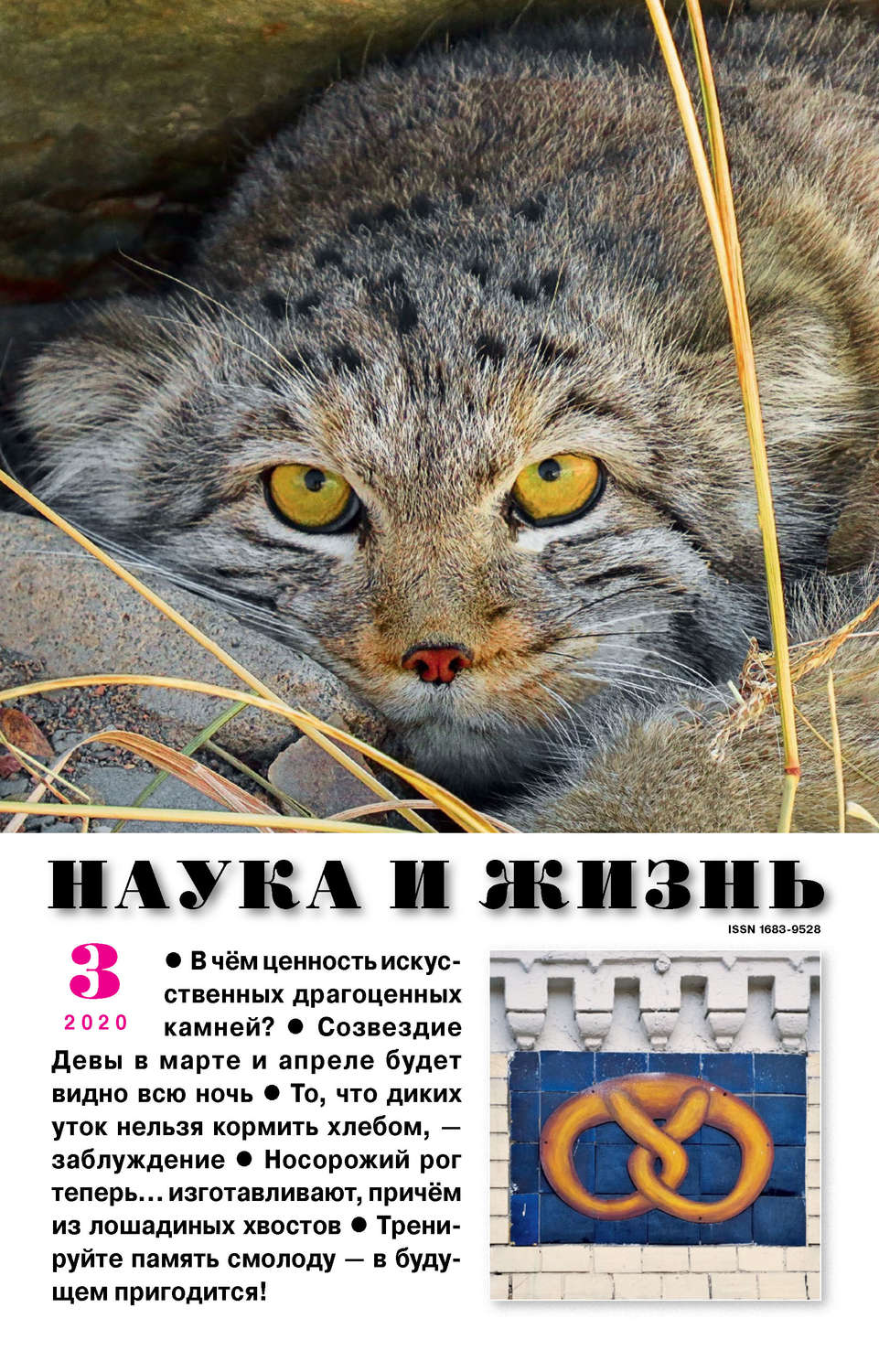 Обложка книги «Наука и жизнь №03/2020»