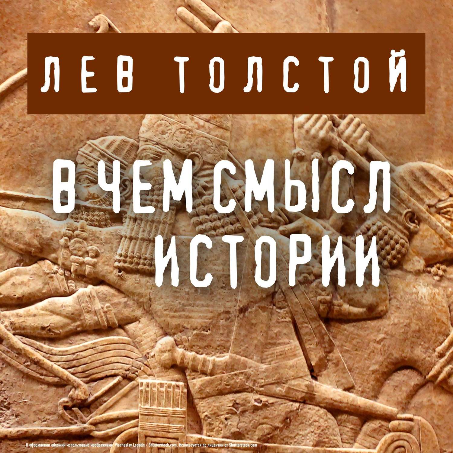 Обложка книги «В чем смысл истории»