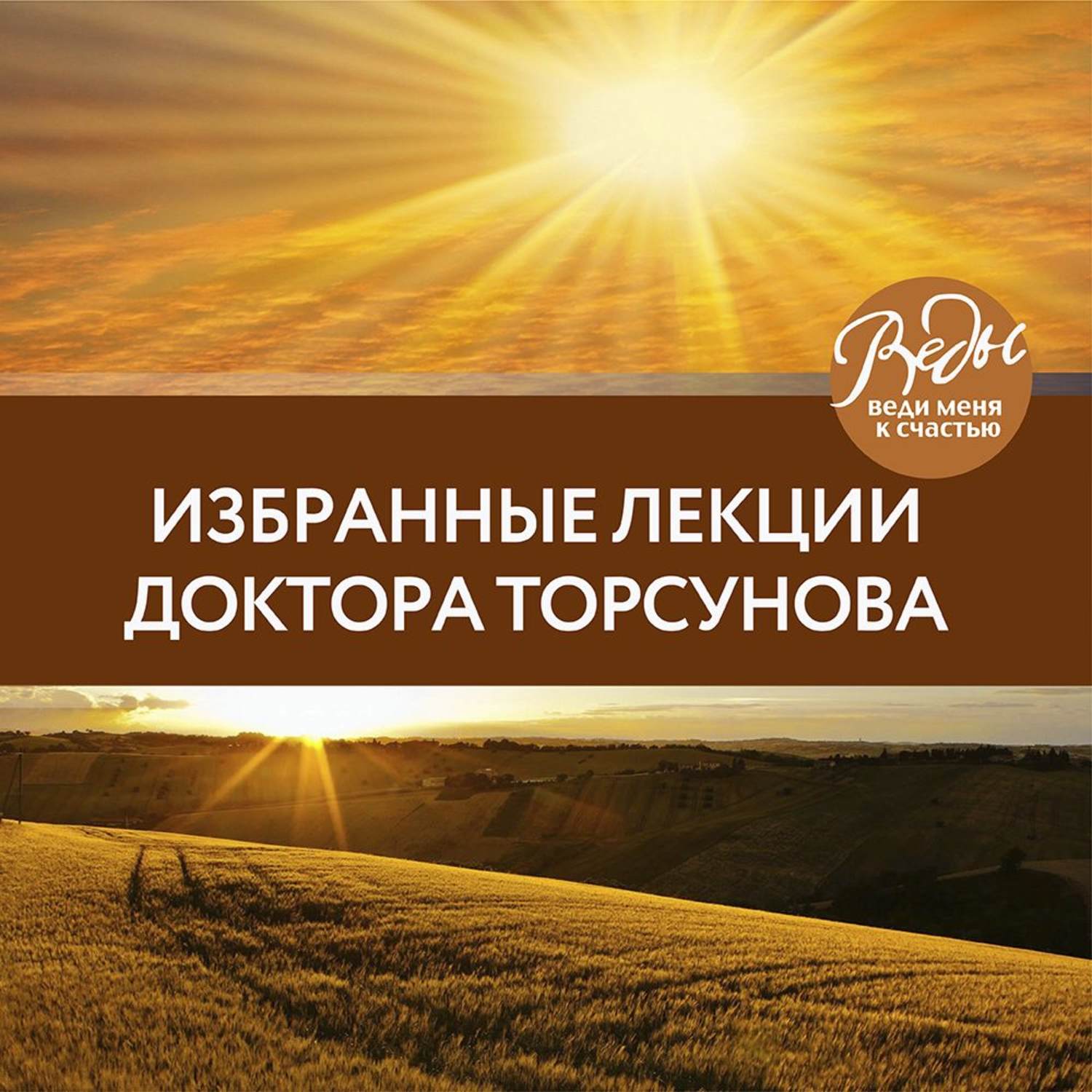 Обложка книги «Избранные лекции доктора Торсунова»