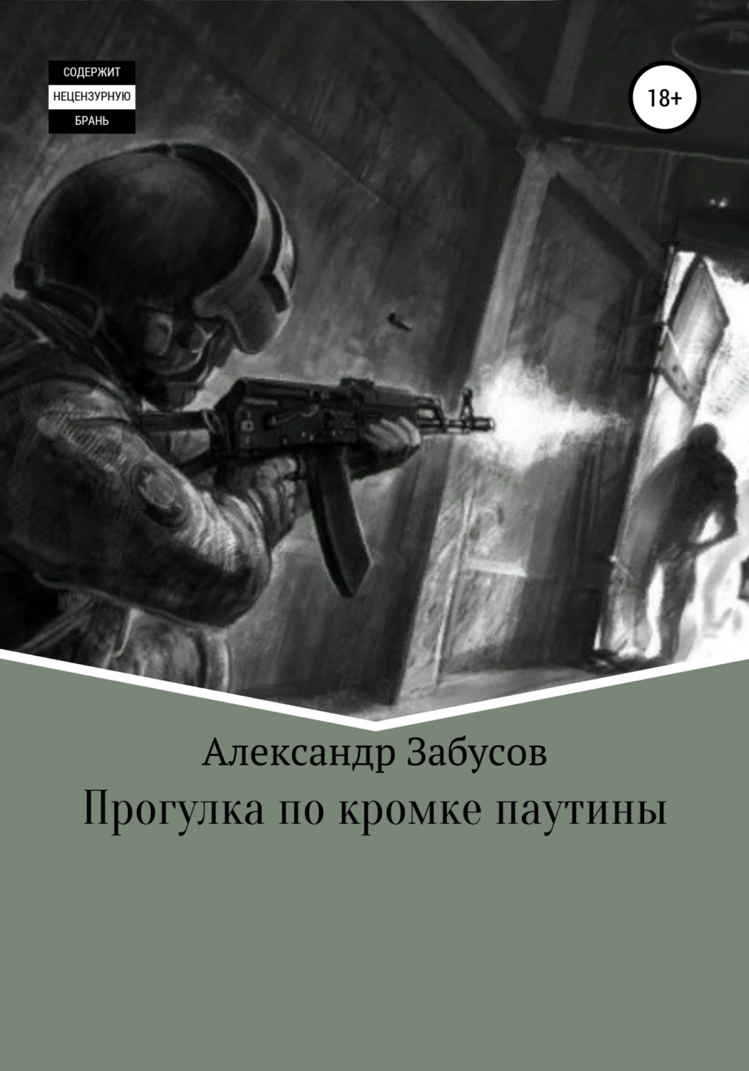 Обложка книги «Прогулка по кромке паутины»